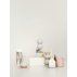 Tirelire House of money - Mint